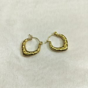 Hoops Earring 1